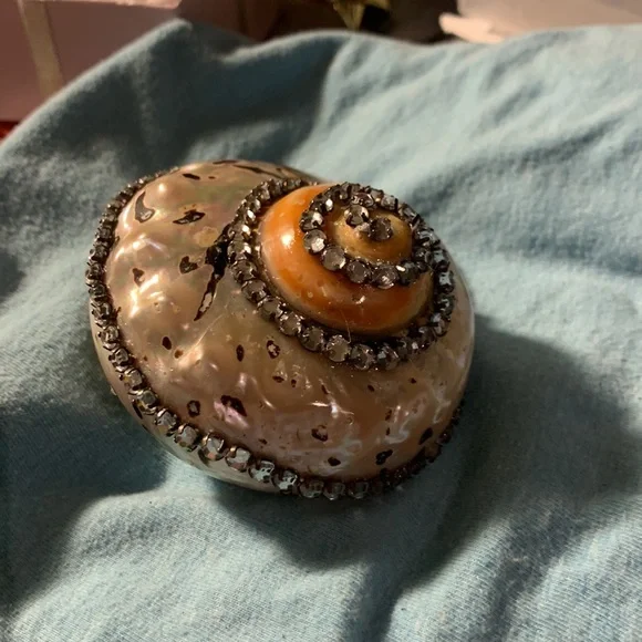 Decorated Sea shell with a wonderful combination of mother of pearl colors. - Picture 2 of 6